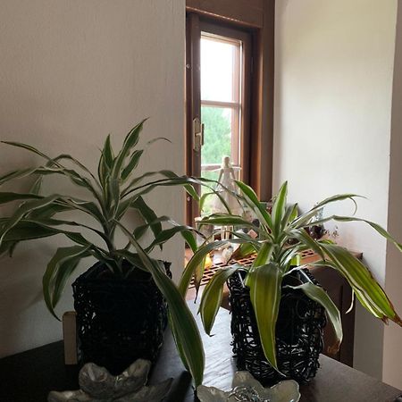 Sancta Katharina Guest House Rozvadov Luaran gambar