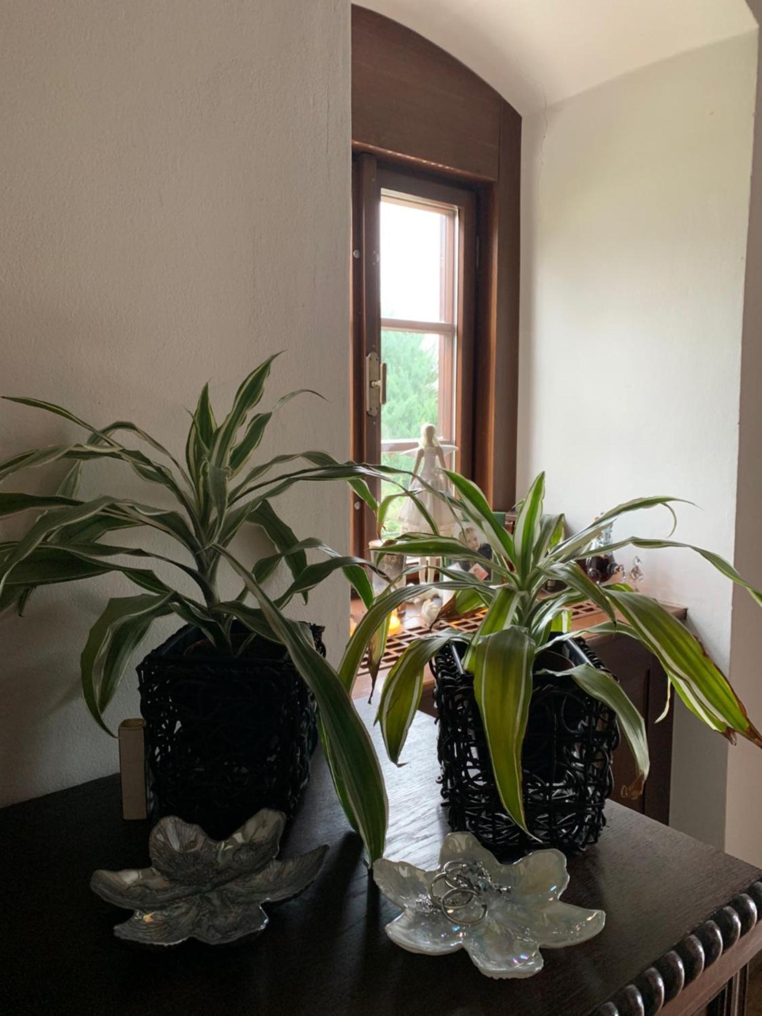 Sancta Katharina Guest House Rozvadov Luaran gambar